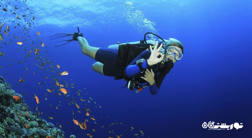 غواصی در کو تائو -  شهر کو سامویی