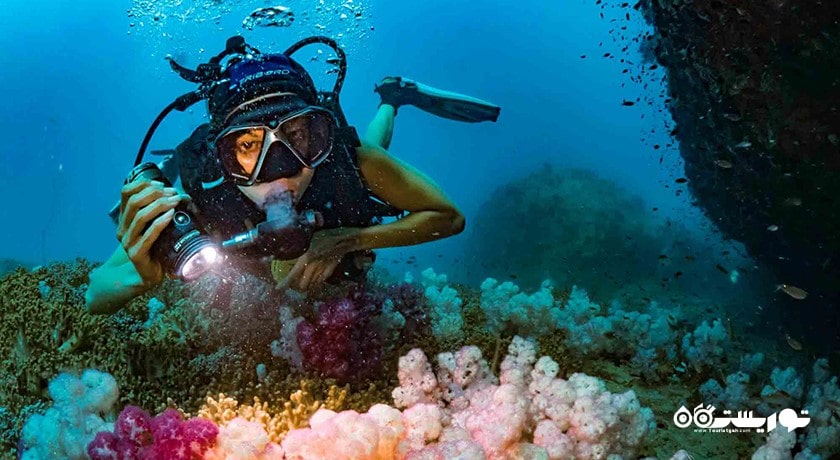 سرگرمی غواصی در کو تائو شهر تایلند کشور کو سامویی