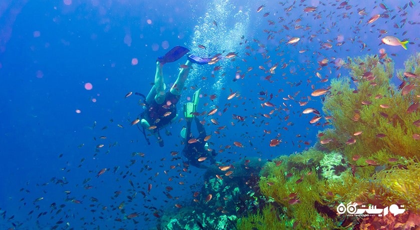 سرگرمی غواصی در کوسامویی شهر تایلند کشور کو سامویی