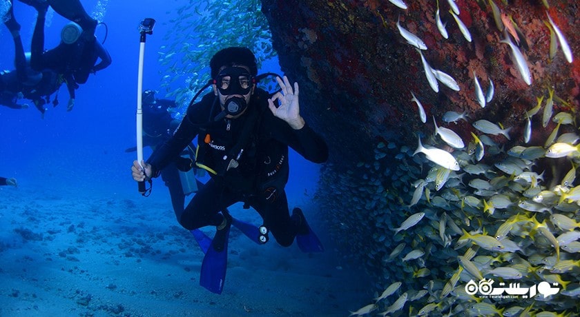 سرگرمی غواصی در کوسامویی شهر تایلند کشور کو سامویی