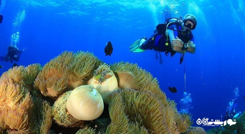 سرگرمی غواصی در کوسامویی شهر تایلند کشور کو سامویی