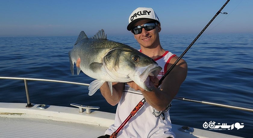 سرگرمی ماهیگیری در کوسامویی شهر تایلند کشور کو سامویی