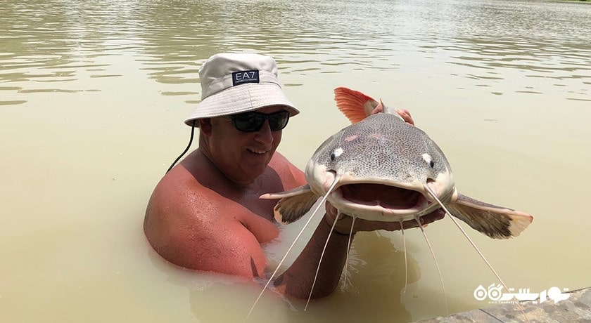 سرگرمی ماهیگیری در کوسامویی شهر تایلند کشور کو سامویی