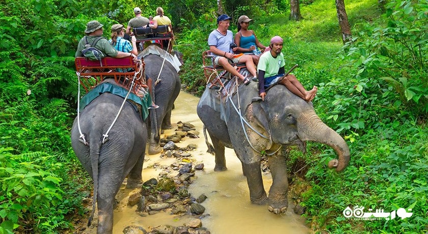 سرگرمی فیل سواری در کوسامویی شهر تایلند کشور کو سامویی