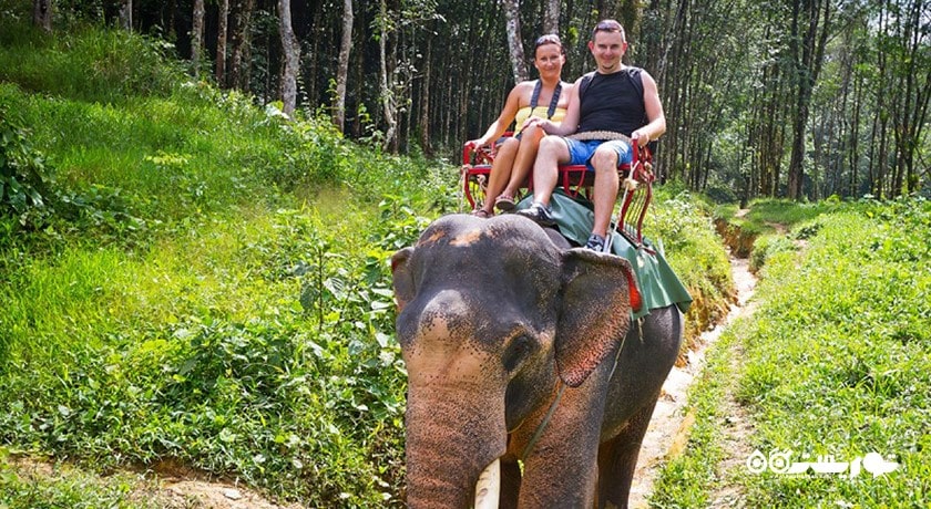سرگرمی فیل سواری در کوسامویی شهر تایلند کشور کو سامویی
