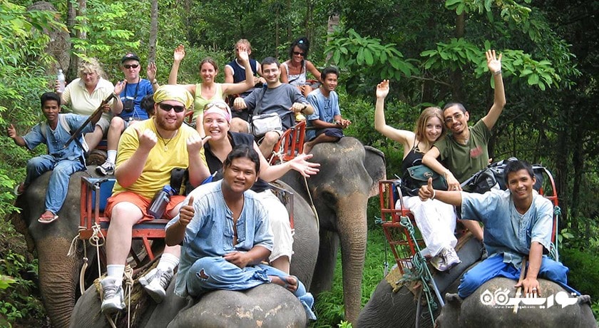 سرگرمی فیل سواری در کوسامویی شهر تایلند کشور کو سامویی