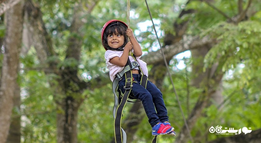 سرگرمی زیپ لاین در کوسامویی شهر تایلند کشور کو سامویی