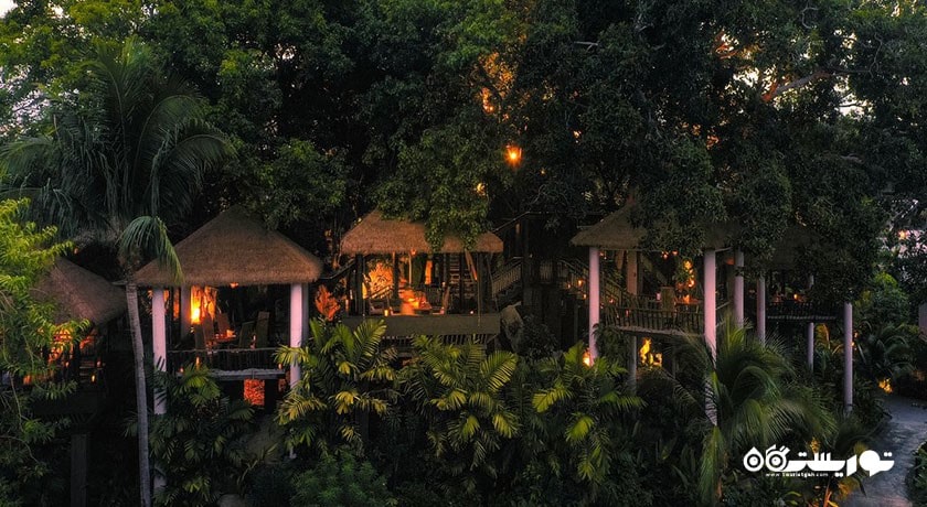 رستوران بار و غذاخوری تری تاپس اسکای شهر کو سامویی 