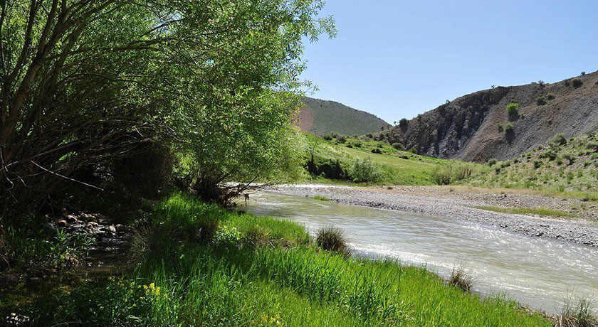 فریدون شهر -  شهر اصفهان