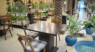 رستوران باغ رستوران نخلستان شهر شیراز 