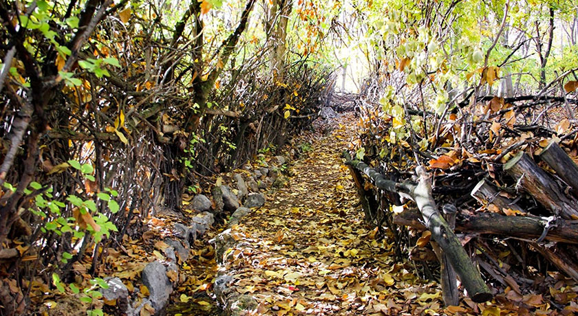 روستای دشتک -  شهر مرودشت