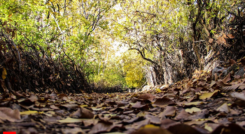 روستای دشتک -  شهر مرودشت