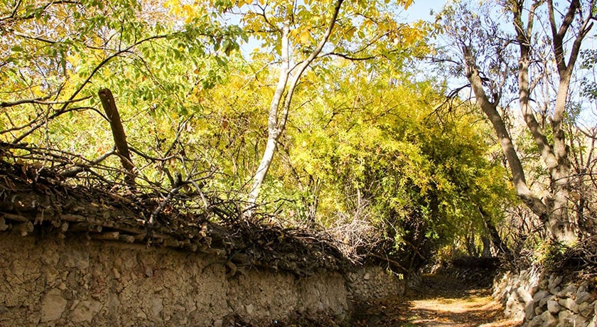 روستای دشتک -  شهر مرودشت