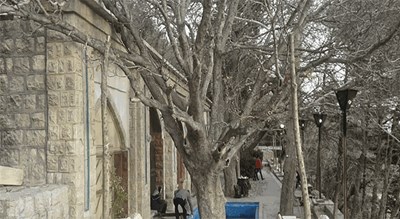 آرامگاه باباکوهی -  شهر فارس