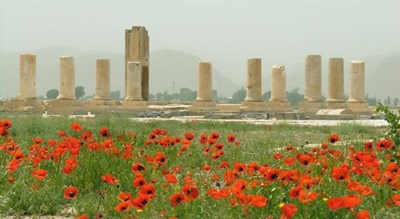 باغ پاسارگاد -  شهر مرودشت