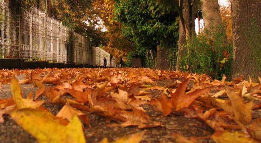 خیابان ارم -  شهر فارس