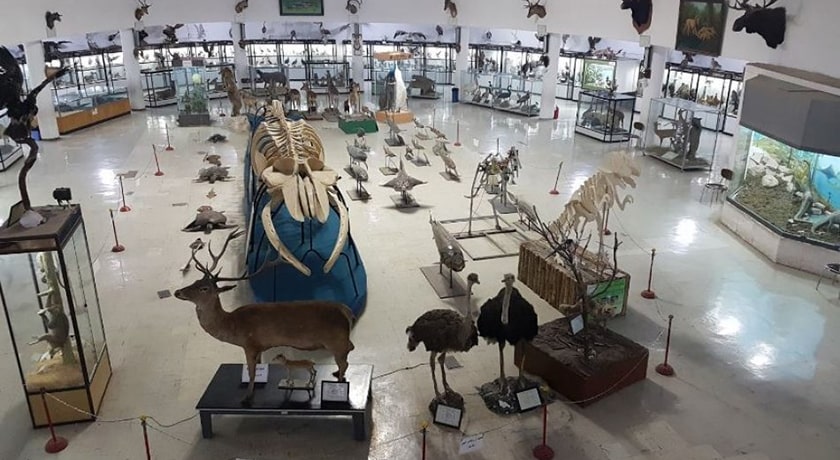  موزه تاریخ طبیعی و تکنولوژی دانشگاه شیراز شهرستان فارس استان شیراز