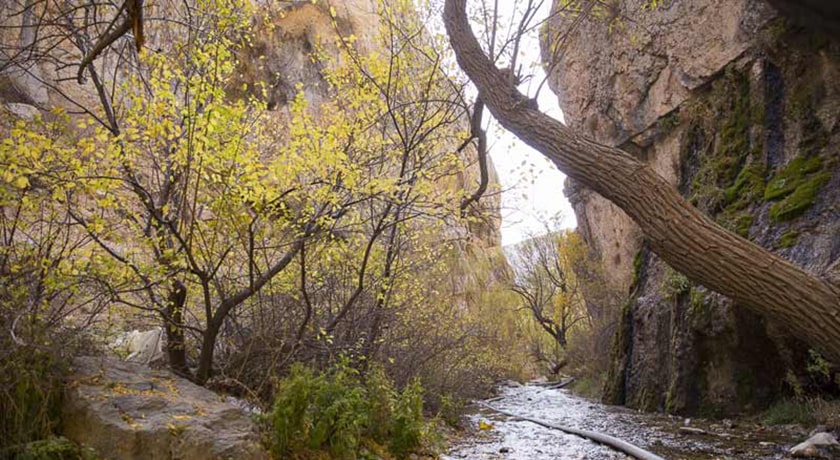 تنگ تیزاب شهرستان یزد استان اردکان