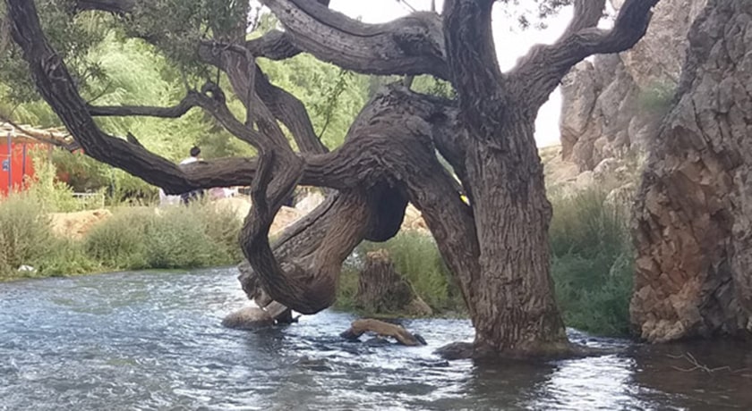  تنگ تیزاب شهرستان یزد استان اردکان