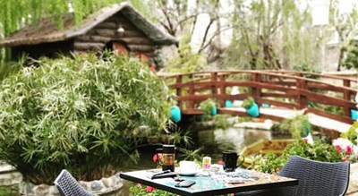 رستوران کافه باغ برکه شهر شیراز 