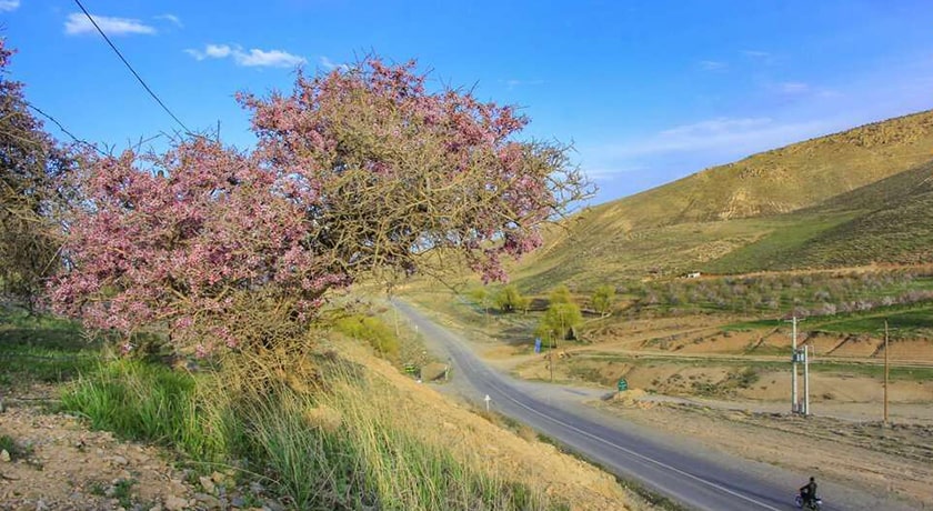  دشت ارژن شهرستان فارس استان کازرون