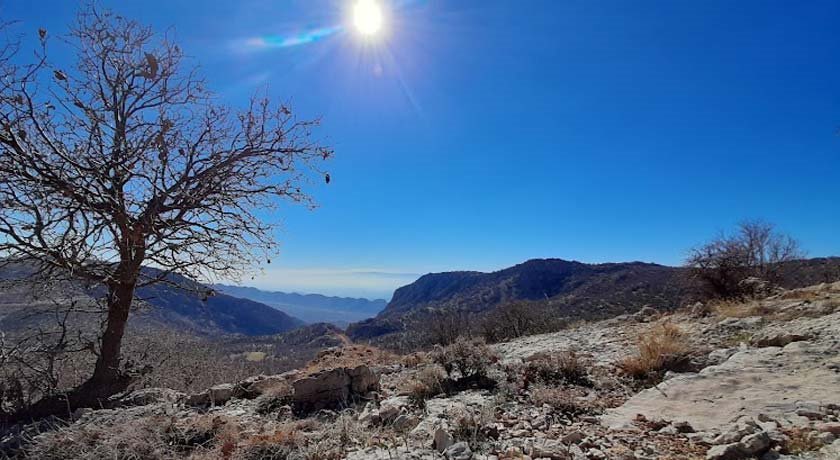  دشت ارژن شهرستان فارس استان کازرون