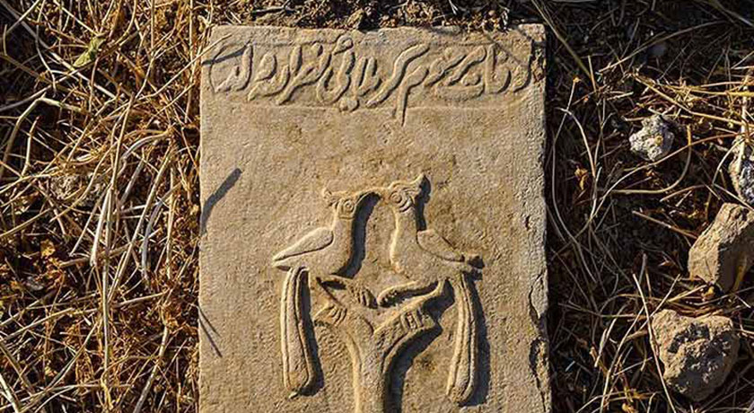 قبرستان دار الاسلام -  شهر فارس