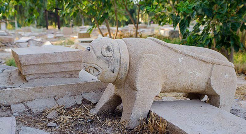  قبرستان دار الاسلام شهرستان فارس استان شیراز