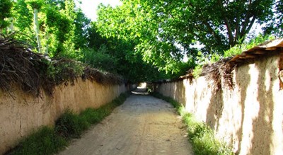 محله قصر دشت -  شهر فارس