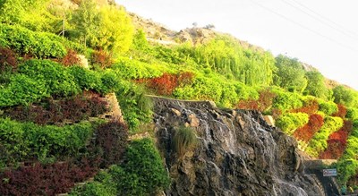  پارک کوهستانی بوستان سعدی شهر فارس استان شیراز