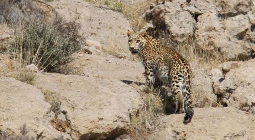  پارک ملی بمو شهر فارس استان شیراز