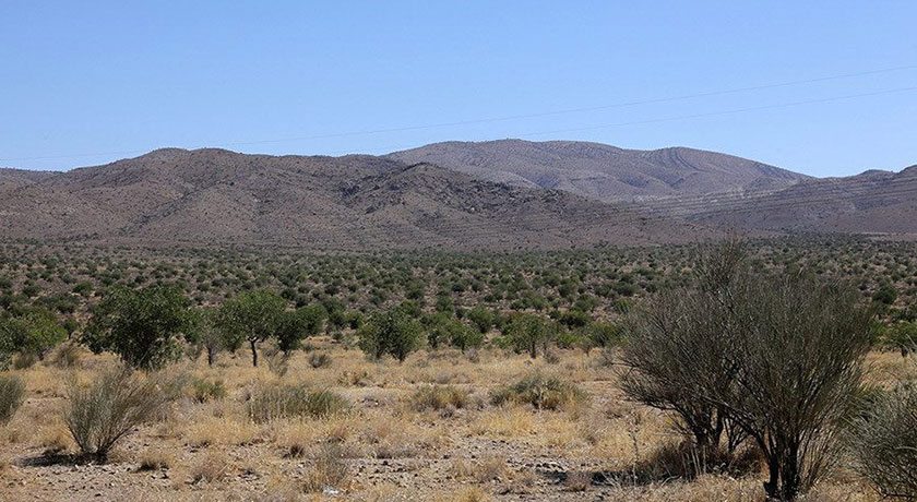  جنگل بناب ارسنجان شهرستان فارس استان ارسنجان