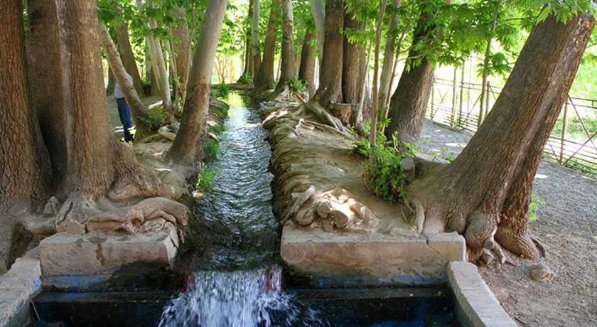  باغ پهلوان پور شهرستان یزد استان مهریز