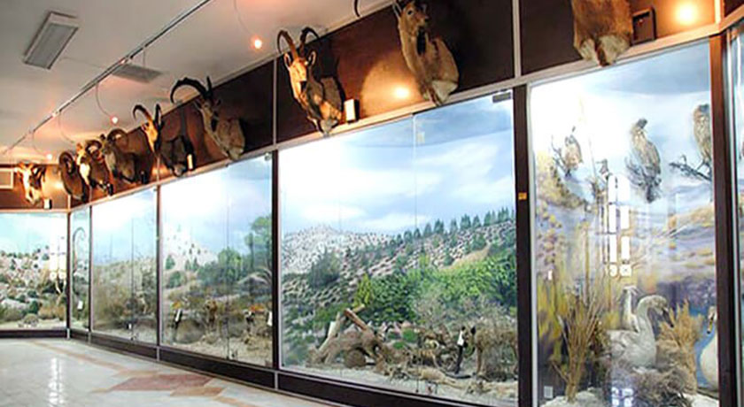  موزه ژئو پارک شهرستان هرمزگان استان قشم