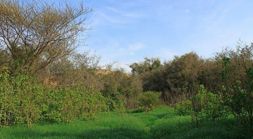  دشت بوخو شهرستان هرمزگان استان قشم