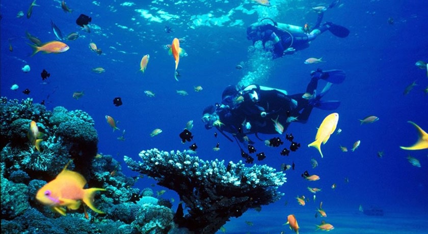 مرکز غواصی و تفریحات دریایی نگین ساحل قشم -  شهر قشم