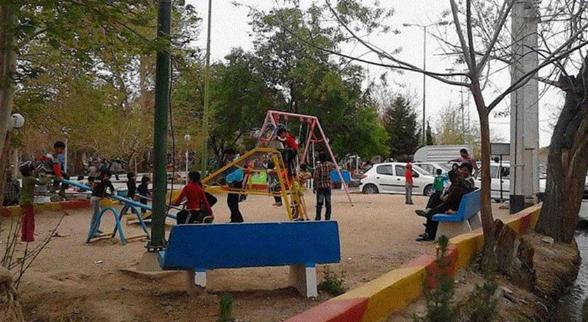 سرو کهنسال مهریز -  شهر یزد