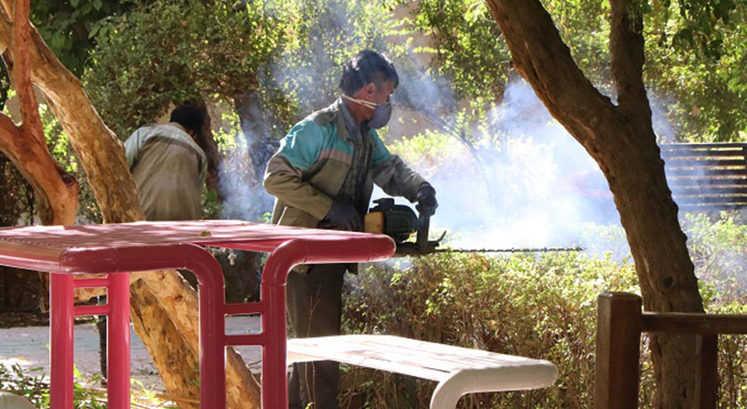 بوستان طوبی -  شهر یزد