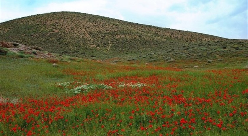 میمه -  شهر اصفهان