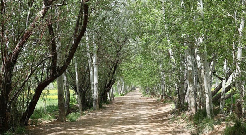 میمه -  شهر اصفهان