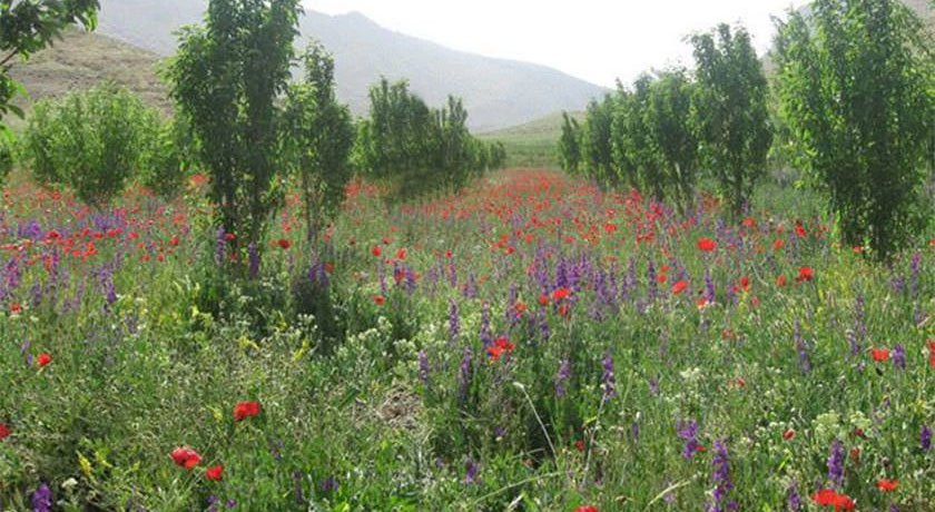  دره حنا علیشاه شهرستان اصفهان استان سمیرم