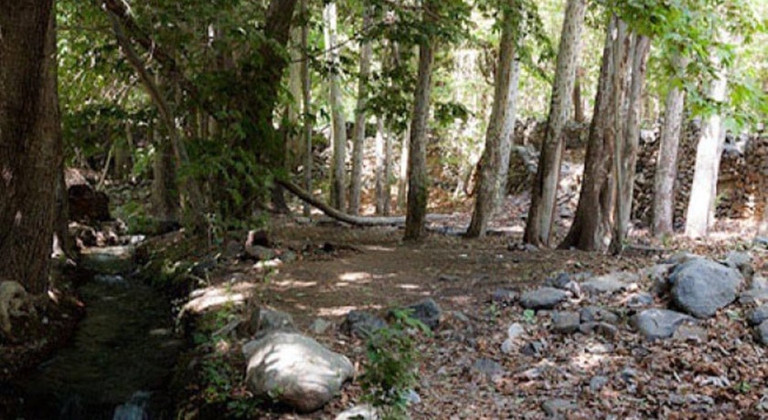  روستا اوره شهرستان اصفهان استان نطنز