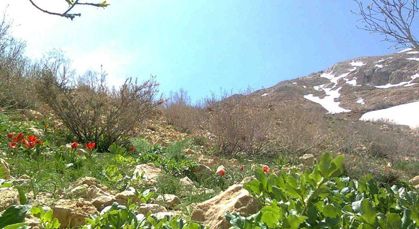  روستا خینه شهرستان اصفهان استان اصفهان