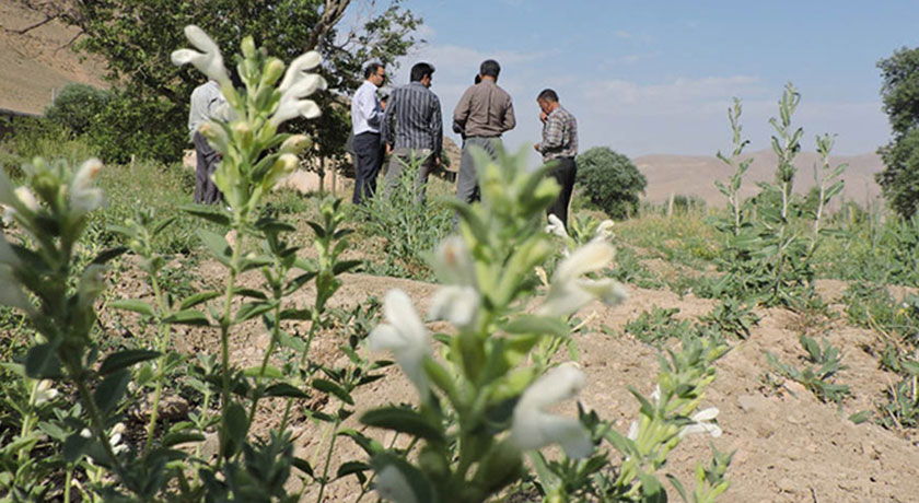  روستا خینه شهرستان اصفهان استان اصفهان