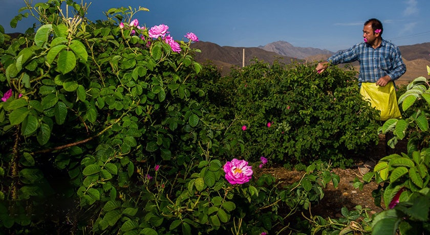 قمصر -  شهر اصفهان