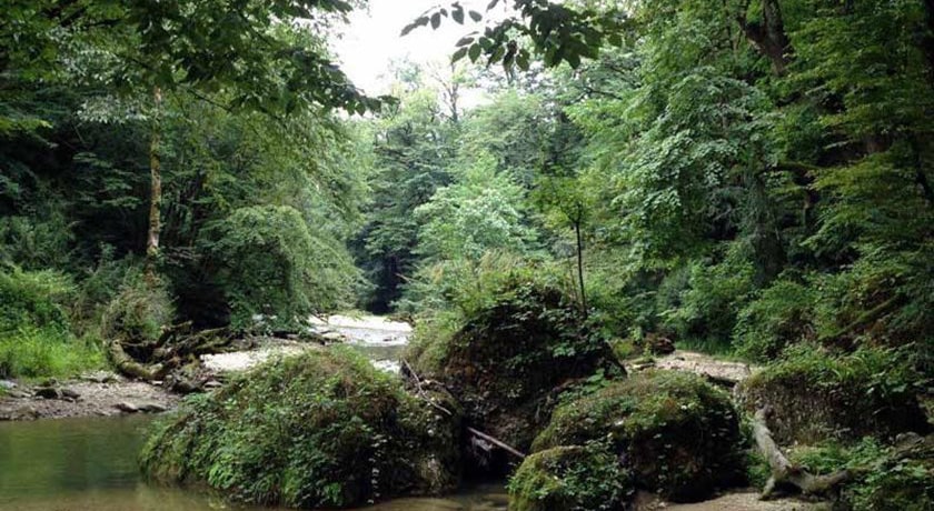  دره ببر چشمه شهرستان مازندران استان نکا