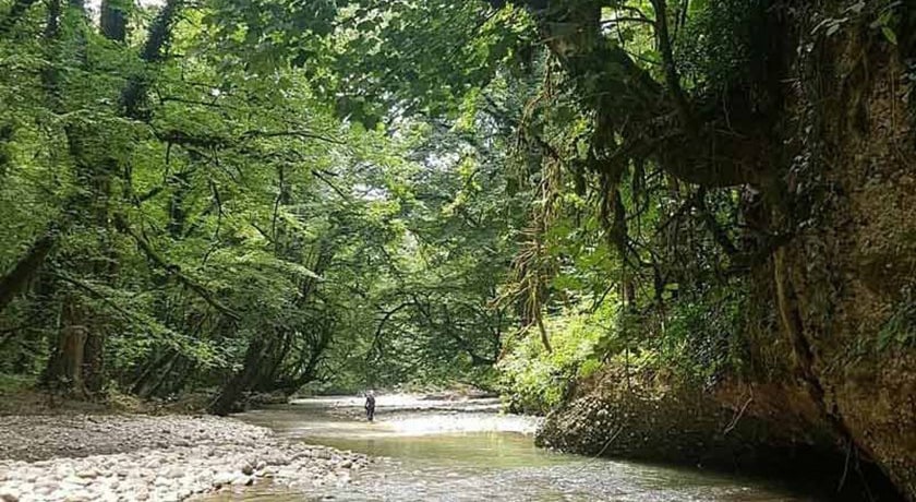  دره ببر چشمه شهرستان مازندران استان نکا