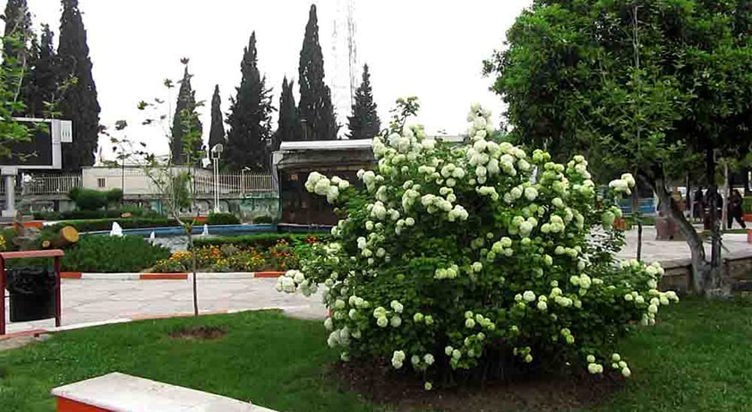  سبزه میدان ساری شهرستان مازندران استان ساری