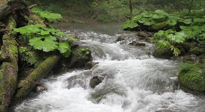  شیرین رود ساری شهرستان مازندران استان ساری