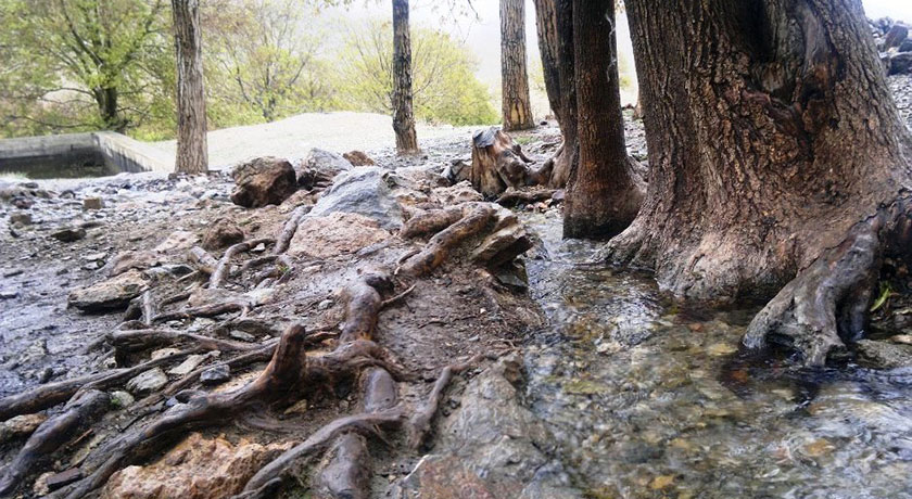 روستای وانشان -  شهر خوانسار